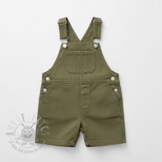 Lan enzimski pran pickle