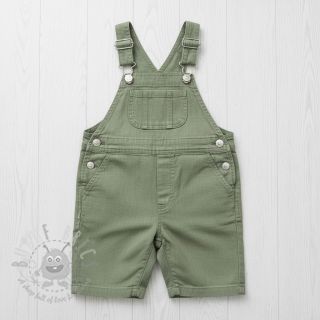 Lan predpran old green