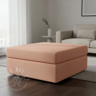 CANVAS blush