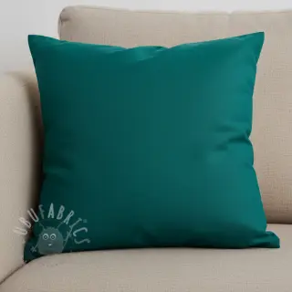 CANVAS dark cyan
