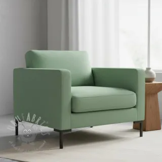 CANVAS mint