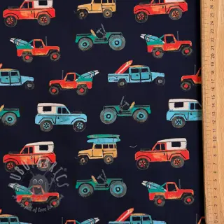 Pamuk Cars navy digital print