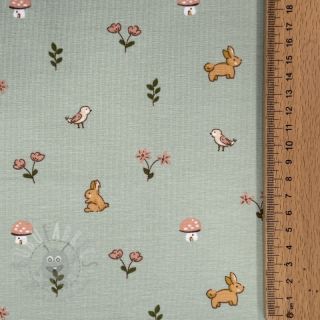 Jersey Bunnies sage ORGANIC