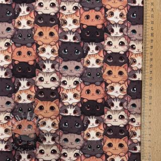 Jersey Cats digital print