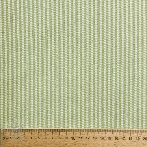 Dekorativna tkanina DOBBY Colored stripe light green