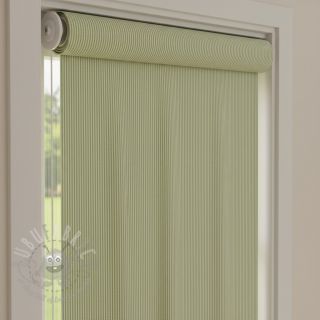 Dekorativna tkanina DOBBY Colored stripe light green