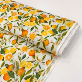 Viskoza RAYON POPLIN Fruity design D