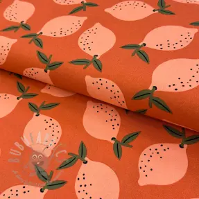 Dekorativna tkanina Fruits design F