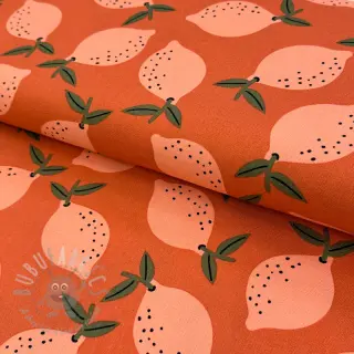 Dekorativna tkanina Fruits design F