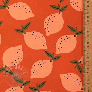Dekorativna tkanina Fruits design F