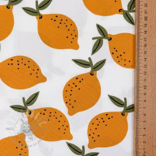 Dekorativna tkanina Fruits design E