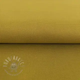 CANVAS curry