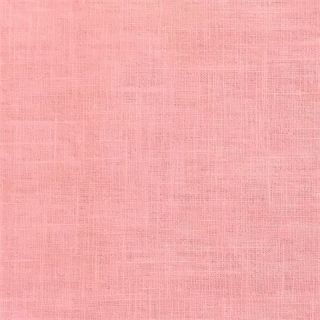 Ľan predpraný baby rose