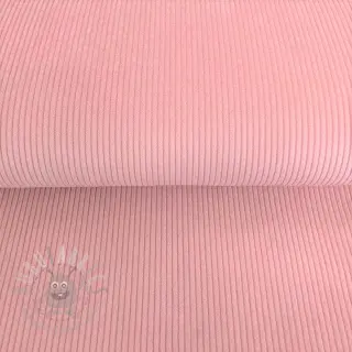 Baršun rose