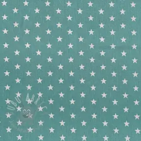 Pamuk Petit stars fresh sage