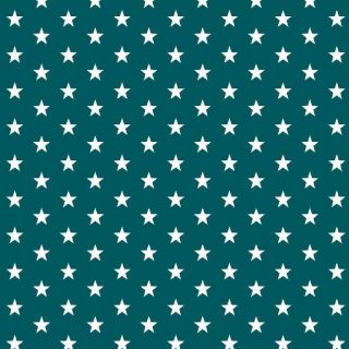 Pamuk Petit stars petrol