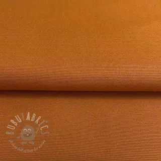 CANVAS rust