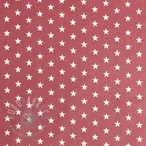 Pamuk Petit stars blush