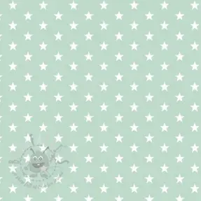 Pamuk Petit stars mint
