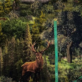 Dekorativna tkanina Ancient forest digitalni tisak