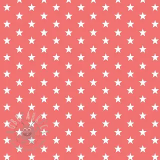 Pamuk Petit stars coral