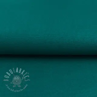CANVAS dark cyan