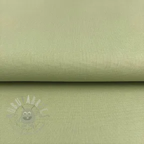 CANVAS dark mint