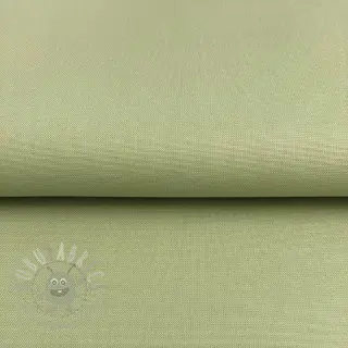 CANVAS dark mint