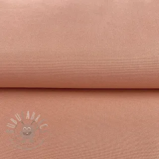 CANVAS blush