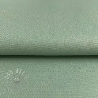 CANVAS old green