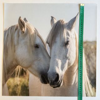 Umjetna koža KARIA Horse love PANEL