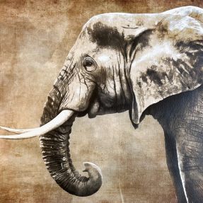 Umjetna koža KARIA Elephant PANEL