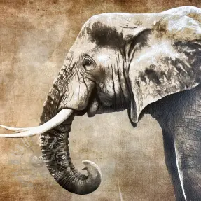 Umjetna koža KARIA Elephant PANEL