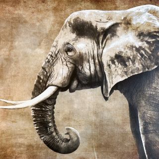 Umjetna koža KARIA Elephant PANEL