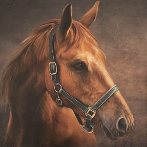 Umjetna koža KARIA My horse PANEL