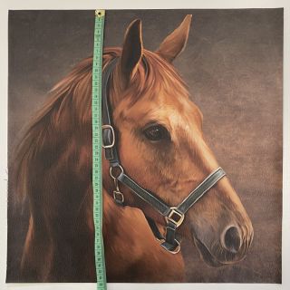 Umjetna koža KARIA My horse PANEL