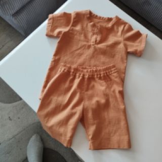 Lan predpran ochre