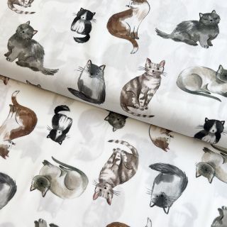 Pamučna tkanina Cats white digital print