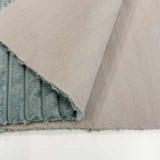 Baršun HANNIBAL lichen