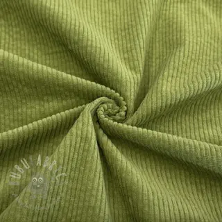 Baršun 6W WASHED STRETCH green