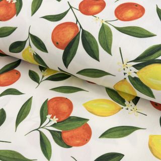 Dekorativna tkanina s teflonom Citrus Fruit