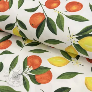 Dekorativna tkanina s teflonom Citrus Fruit