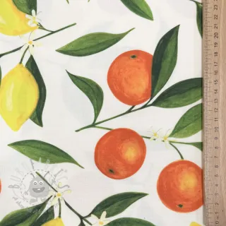 Dekorativna tkanina s teflonom Citrus Fruit