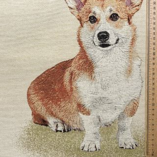 Dekorativna tkanina GOBELIN PREMIUM Sitting Corgi Dog PANEL