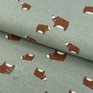 Jersey Bears dark mint melange
