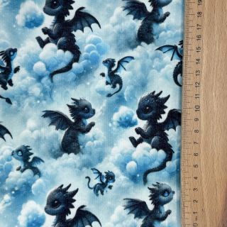 Triko JOGGING Dragons design C digital print